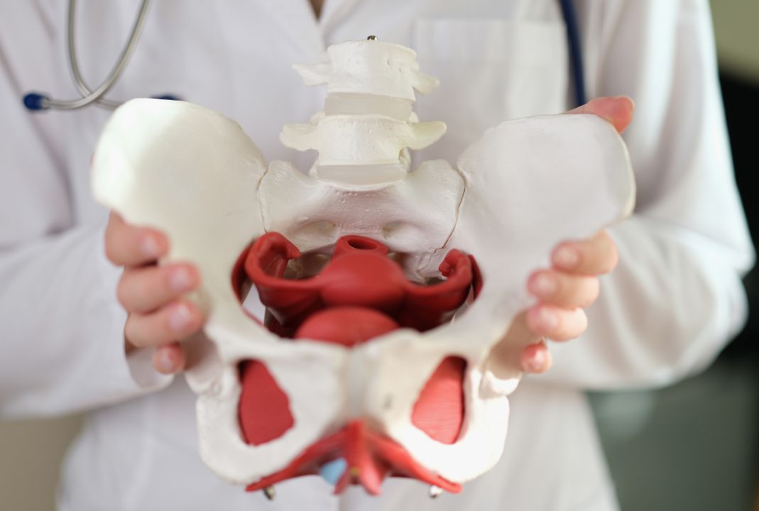 【札幌整体】骨盤矯正に行っても戻ってしまう…とお悩みの方へ｜本当に必要な産後ケアとは