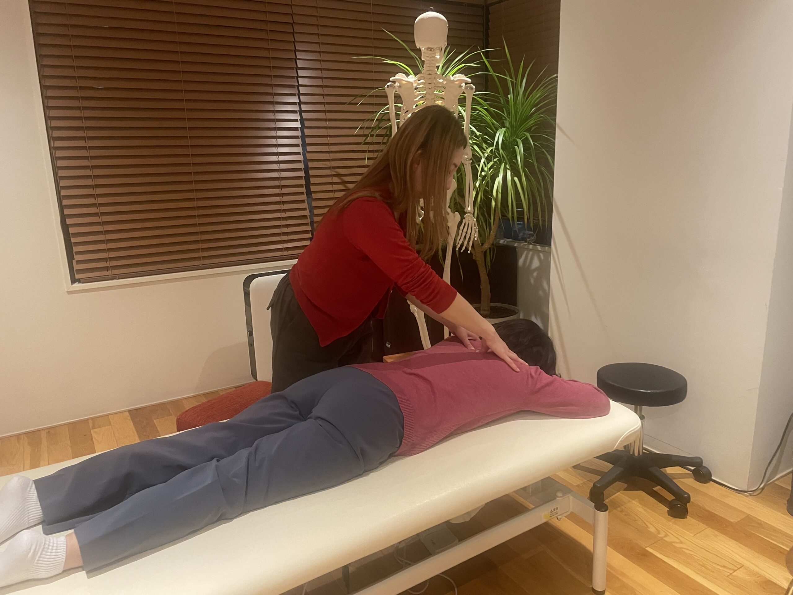 【１月のオステオパシー勉強会のお知らせ】